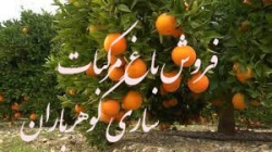 63-فروش باغ مرکبات ساری